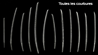 toutes zori